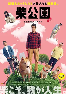 内衣办公室1—3免费观看无广告
