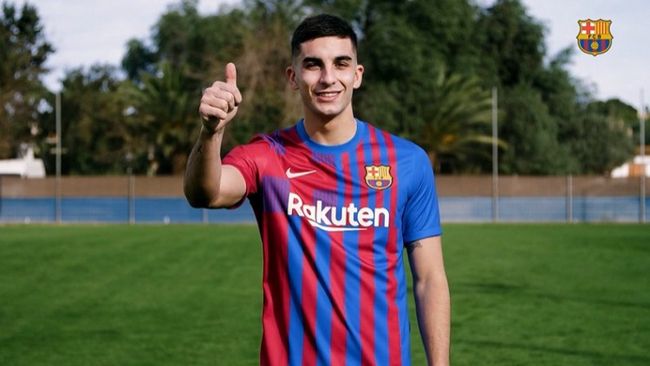 纵欲岛