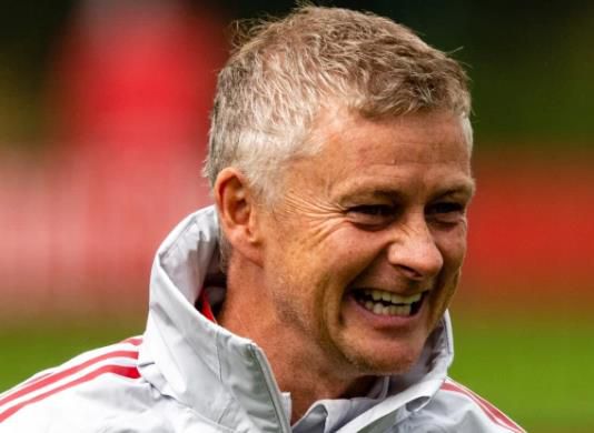 本庄优花在线