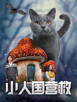 过把瘾电视剧全集免费观看带字幕