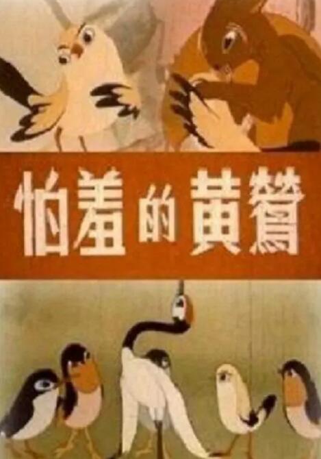 洞里的世界
