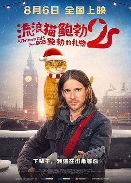 快速上排名