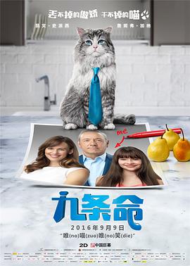 胡桃大战史莱姆樱花动漫免费的