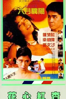 麻豆电影在线观看