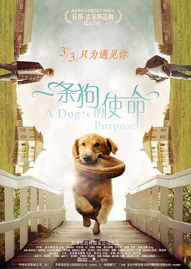 老司机国内精品久久久久
