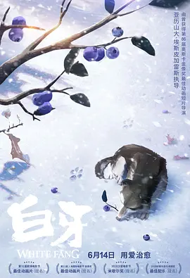福利午夜电影