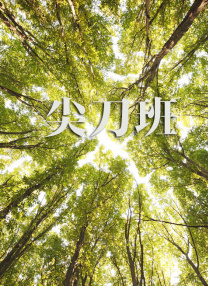 任你躁