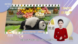 欧美做爰高潮
