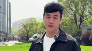 阿拉斯加北极熊2020